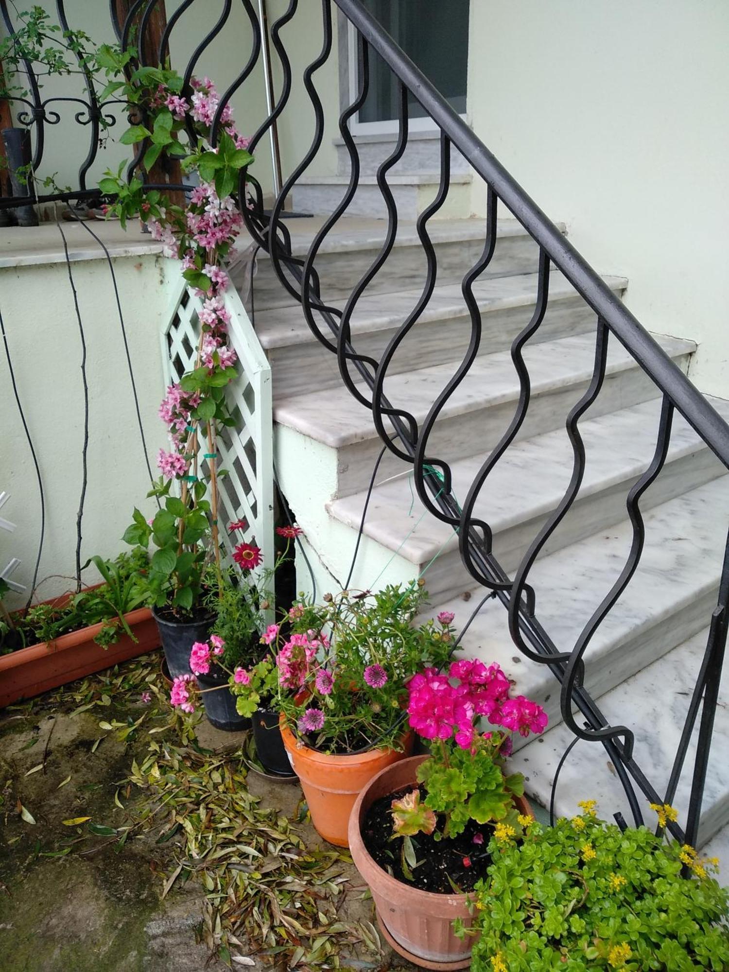 Peacock Villa Upper 에파노미 외부 사진